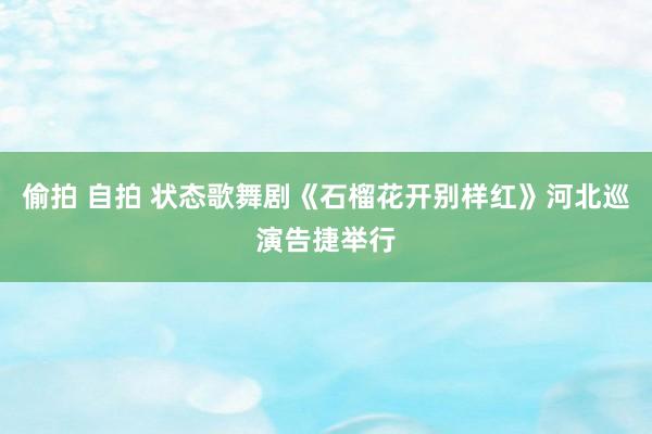 偷拍 自拍 状态歌舞剧《石榴花开别样红》河北巡演告捷举行